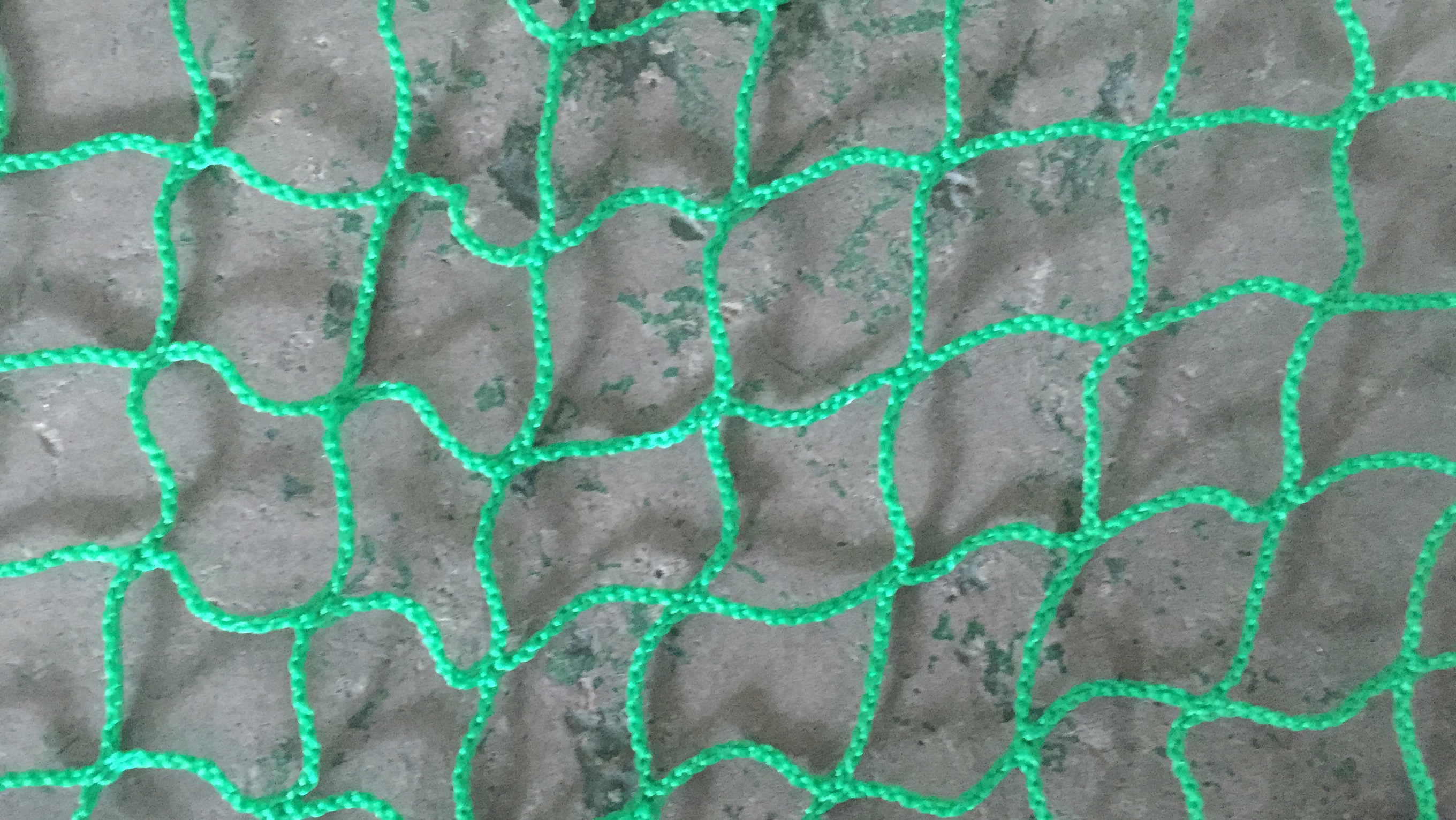 SHENZHEN SHENGLONG NETTING CO., LTD.